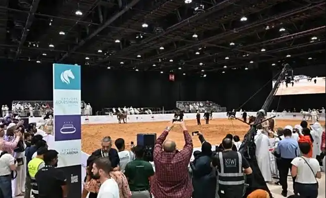 参加国际展会：企业链接全球市场的高效路径—新天会展