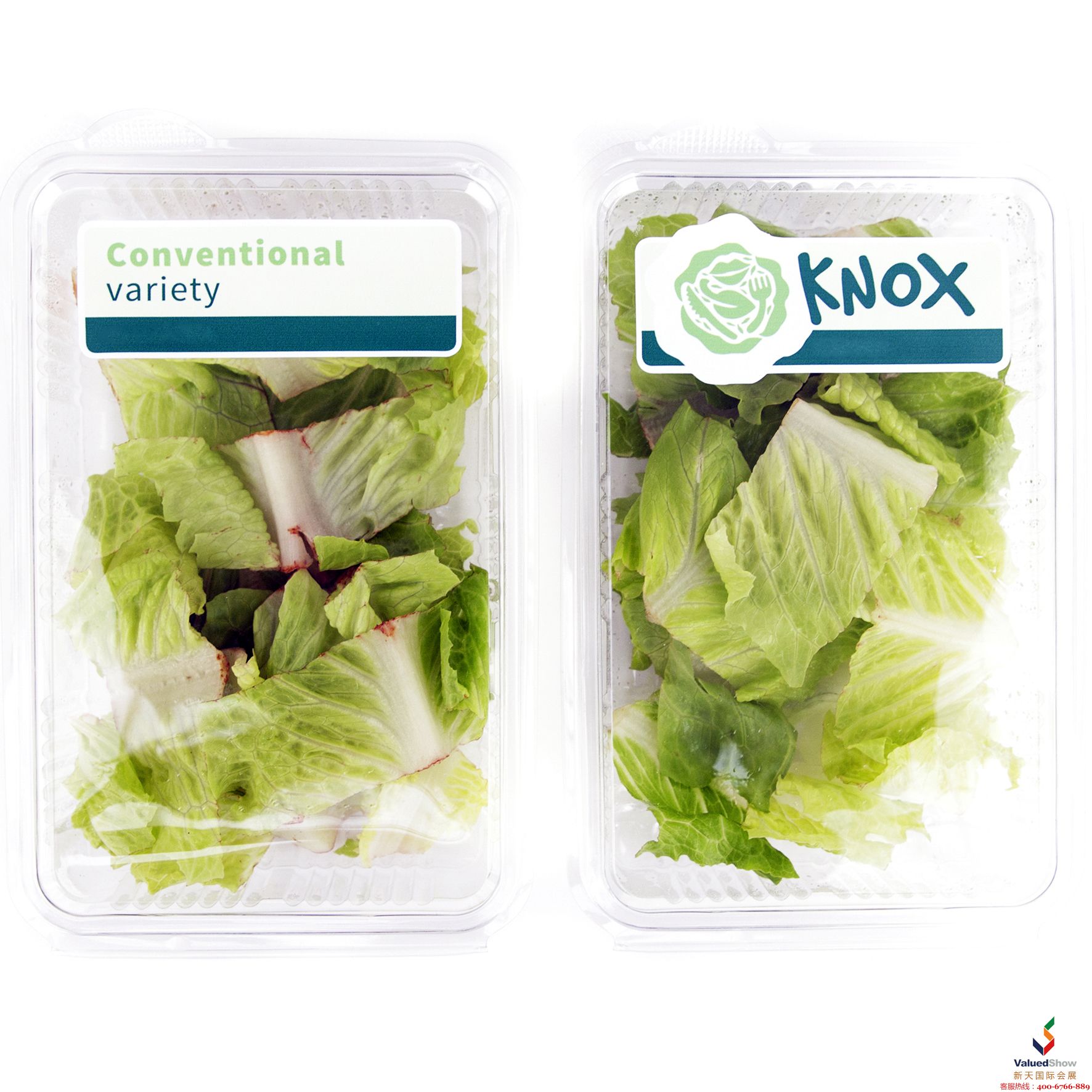 果蔬展中的KNOX（诺克斯）的锯齿切割