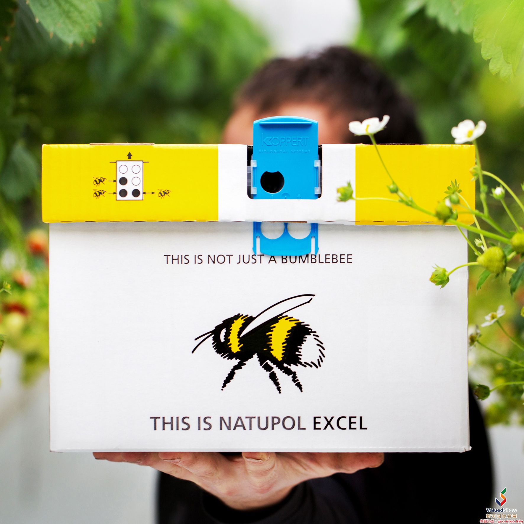 果蔬展中的Natupol Excel-蜜蜂愿景