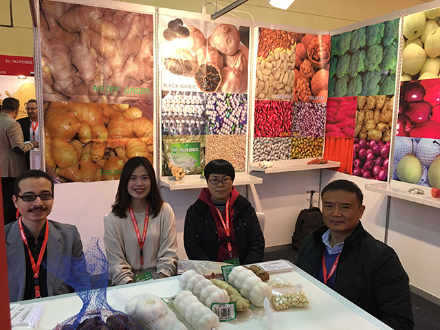 2018年埃及國際食品及飲料展覽會Food Africa|現(xiàn)場播報