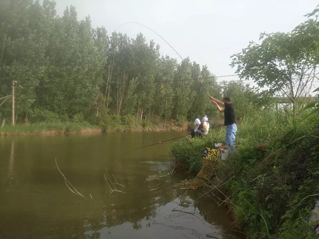 野釣容易進入的5個誤區