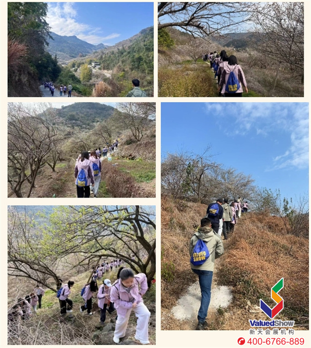 新天国际会展徒步赏梅