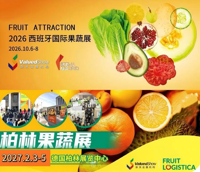 果蔬快訊｜2025大蒜出口復(fù)盤：總量269萬噸創(chuàng)新高，為何價(jià)格卻降了16%？