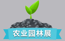 变量名不存在